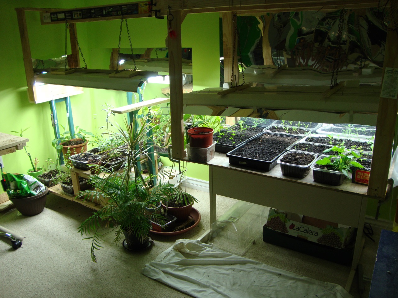 Indoor Gardening: Why Winter Is the New Spring
